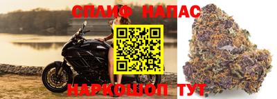 гашик Балаково