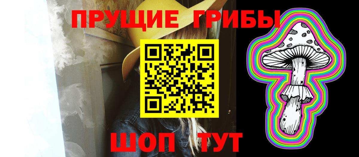 Галлюциногенные грибы Psilocybine cubensis  Вход с VPN  Артём 